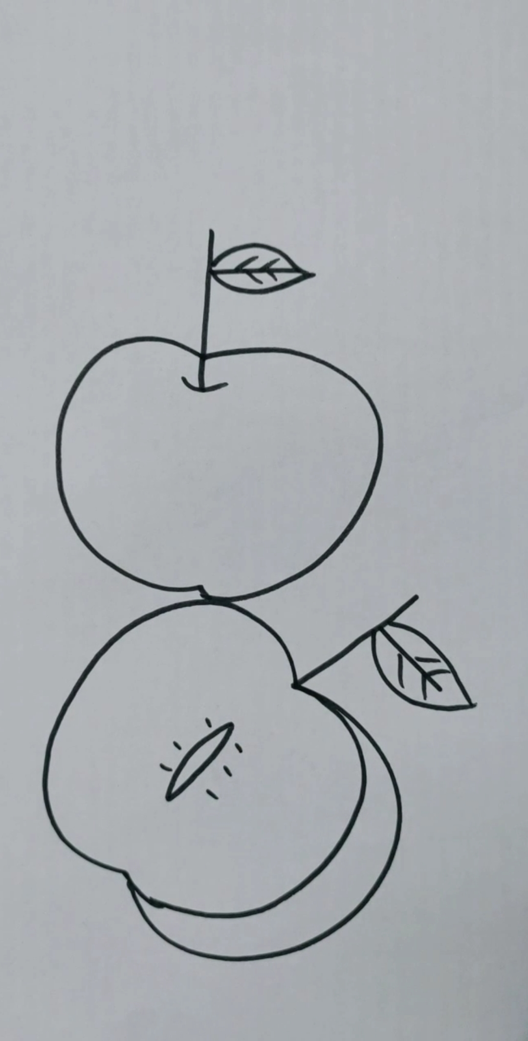 苹果简笔#用数字5画苹果