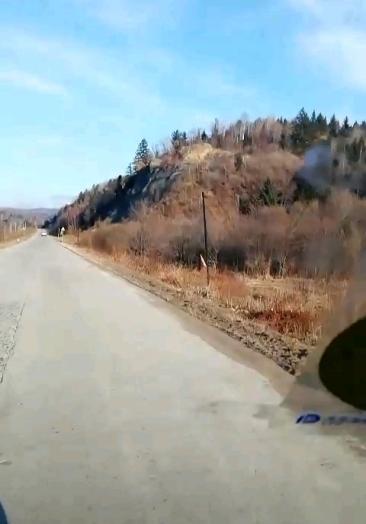 伊春翠峦找小姐真实上门特殊服务媺信68195055举