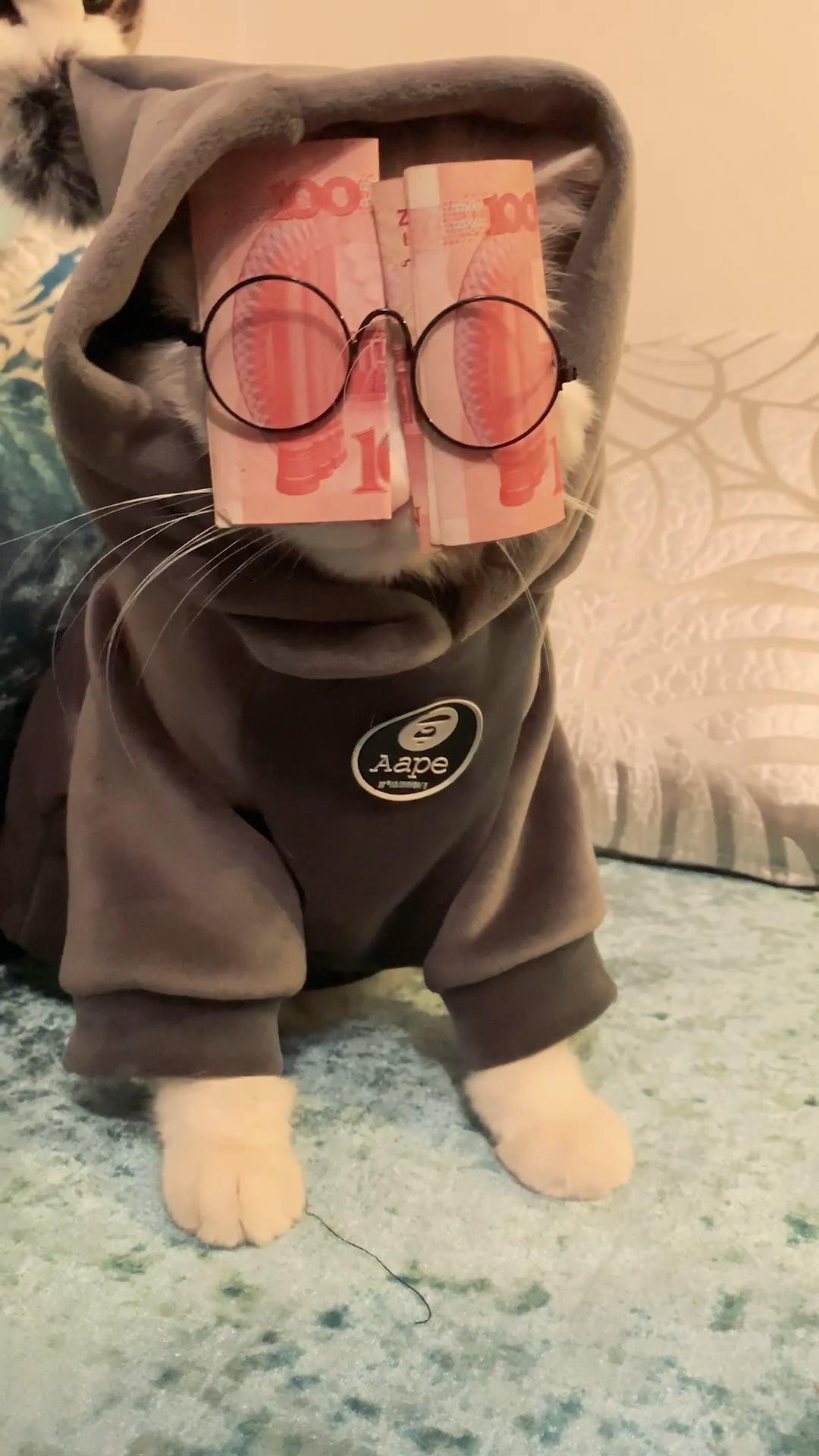 被金钱迷惑的双眼