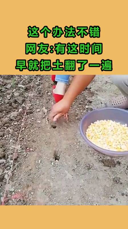 这个办法不错,网友:有这时间,早就把土翻了一遍