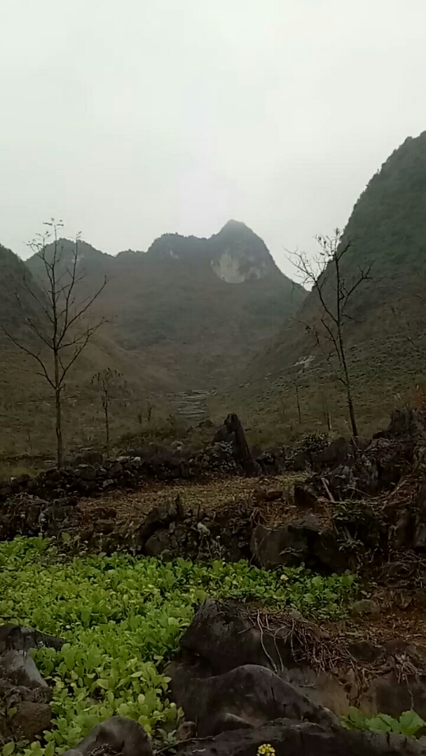 家里的人头山有一些怀念你