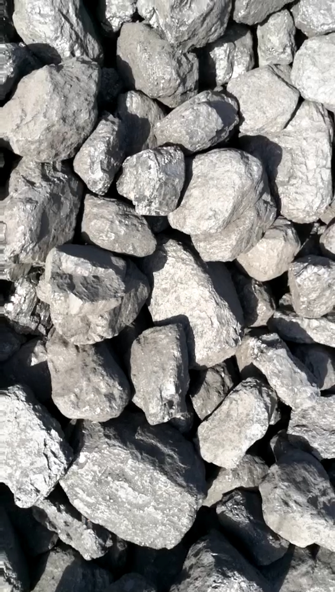 小小爱宠萌化你#烧烤专用环保无烟煤 烤肉专用环保无烟煤 烤串子妹