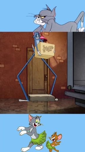 了解一下大长腿的汤姆