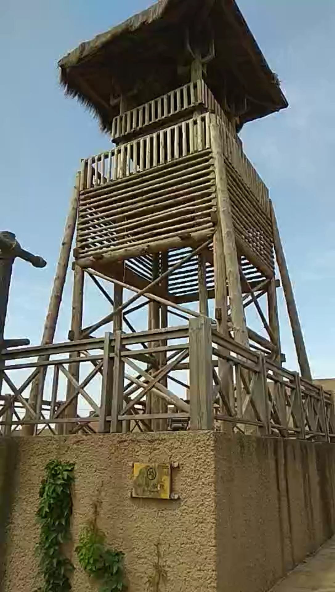 抗暑大作战#瞭望台