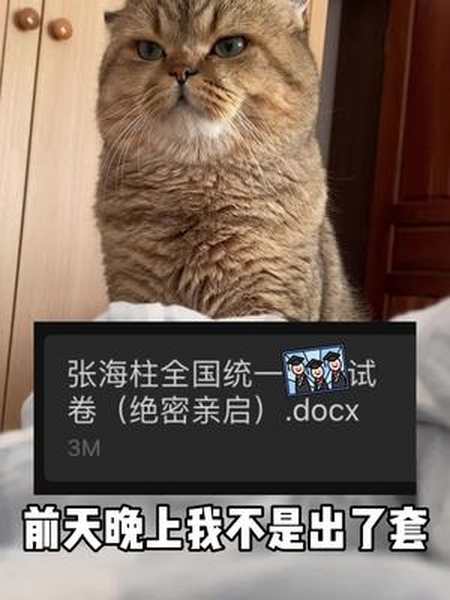 张海柱的这套试卷答满分的就一个人萌宠出道计划张海柱