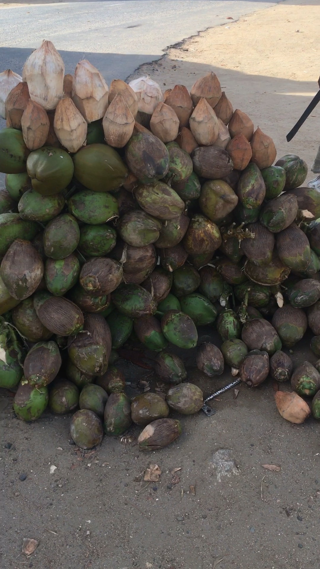 非洲椰子两块一个很便宜