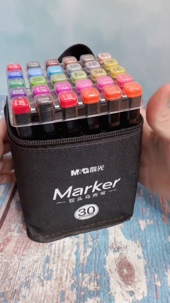 年货好物生活节#晨光专业美术生可用的马克笔,30色双头马克笔.