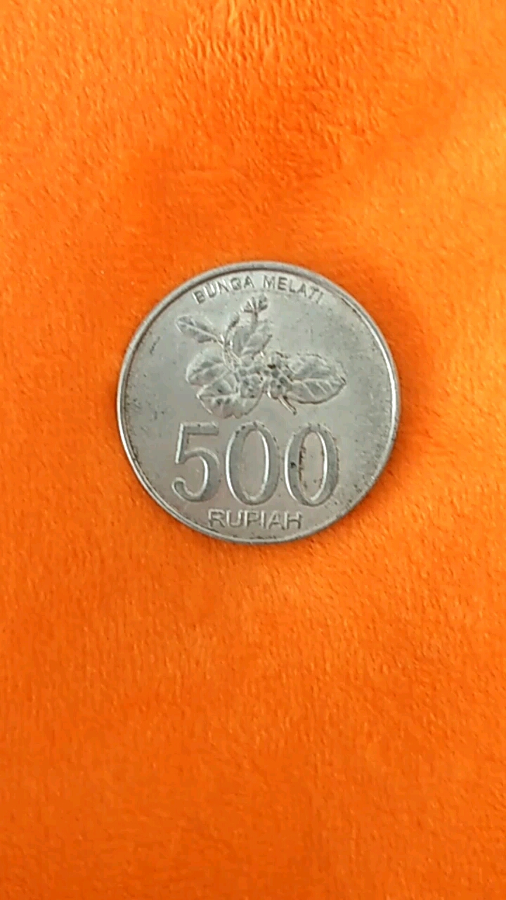 印度尼西亚硬币!