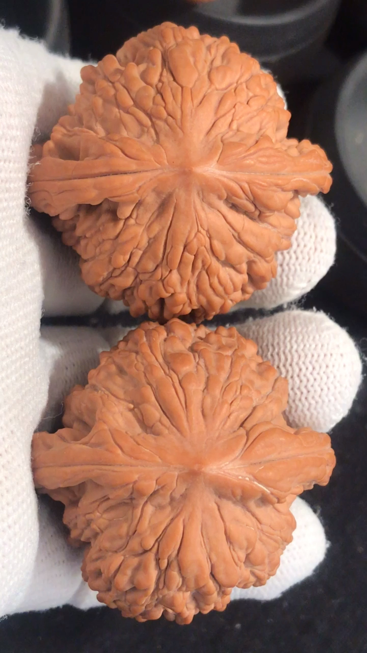 文玩核桃#虎头王