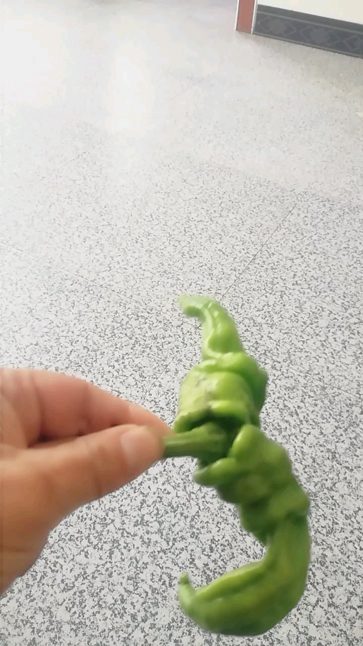 见过双胞胎的辣椒吗?