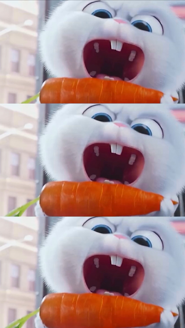 爱宠大机密里最喜欢这只兔子了,搞笑耍贱,又霸道又萌!