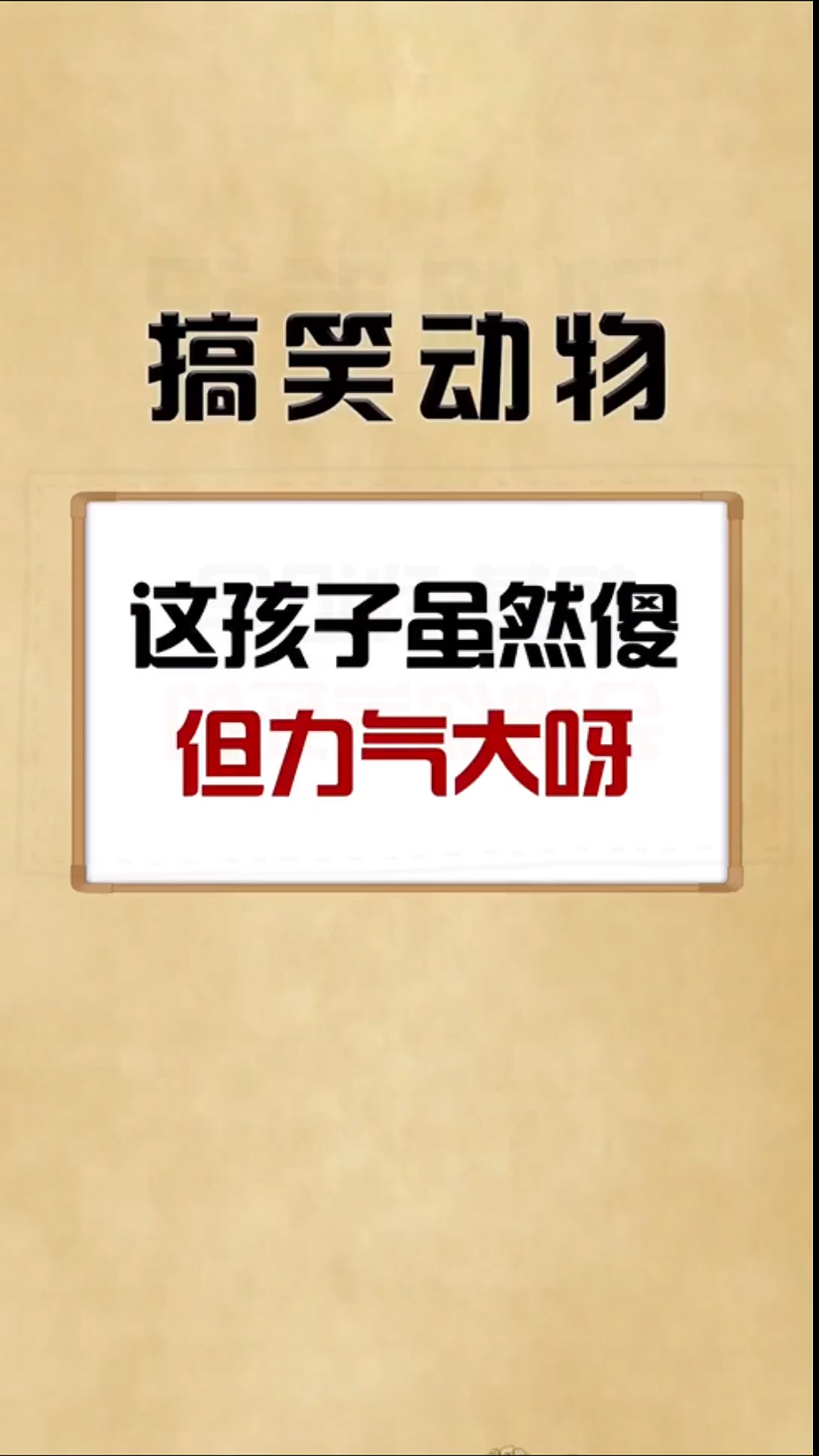 我家萌宠成精了虎哥头脑简单四肢发达说得是你吧