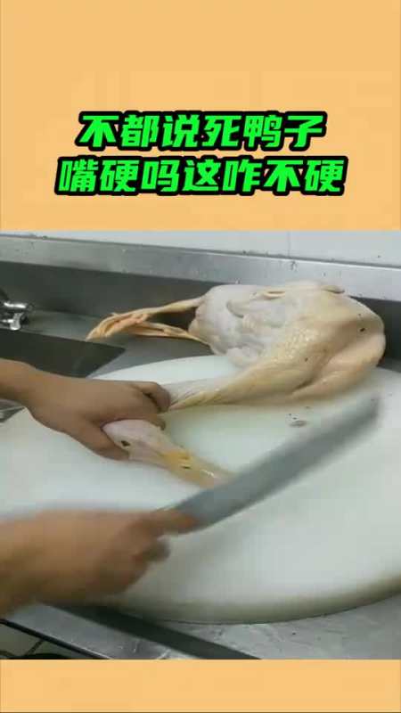 死鸭子嘴硬图片