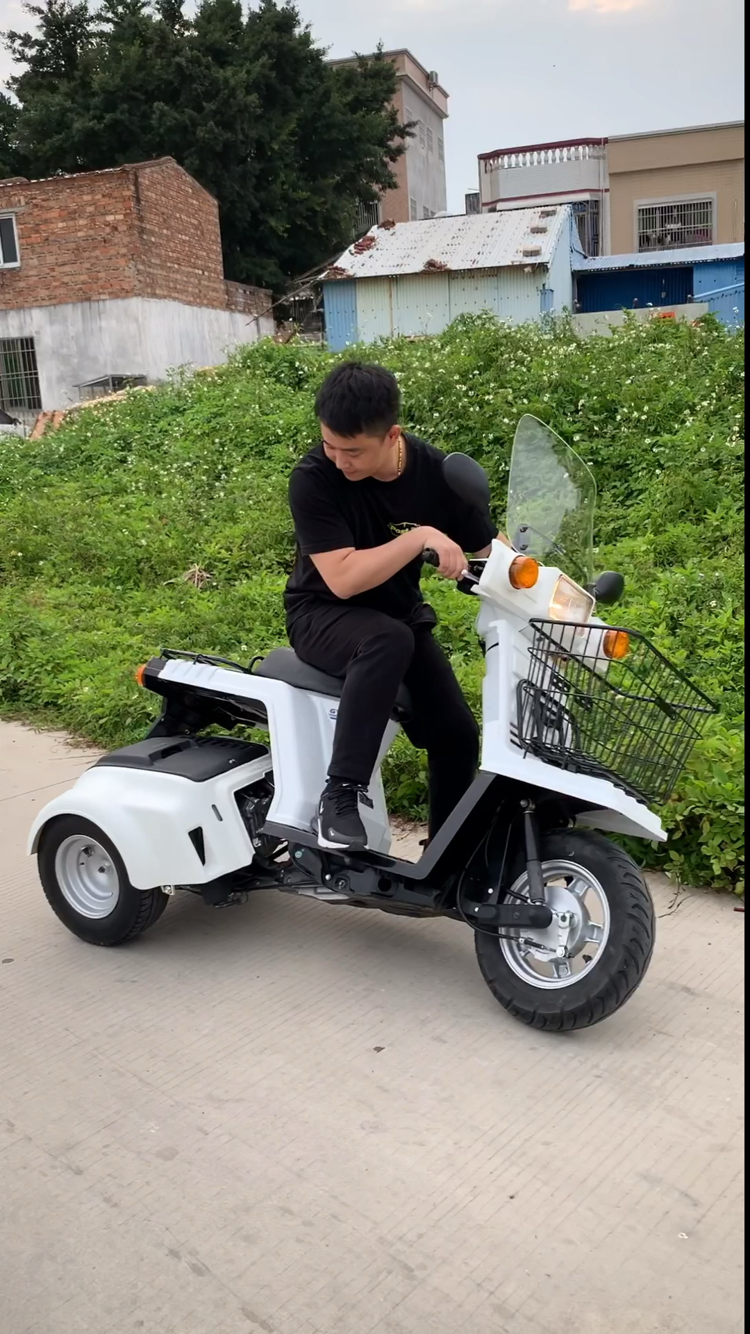 本田不倒翁#本田不倒翁