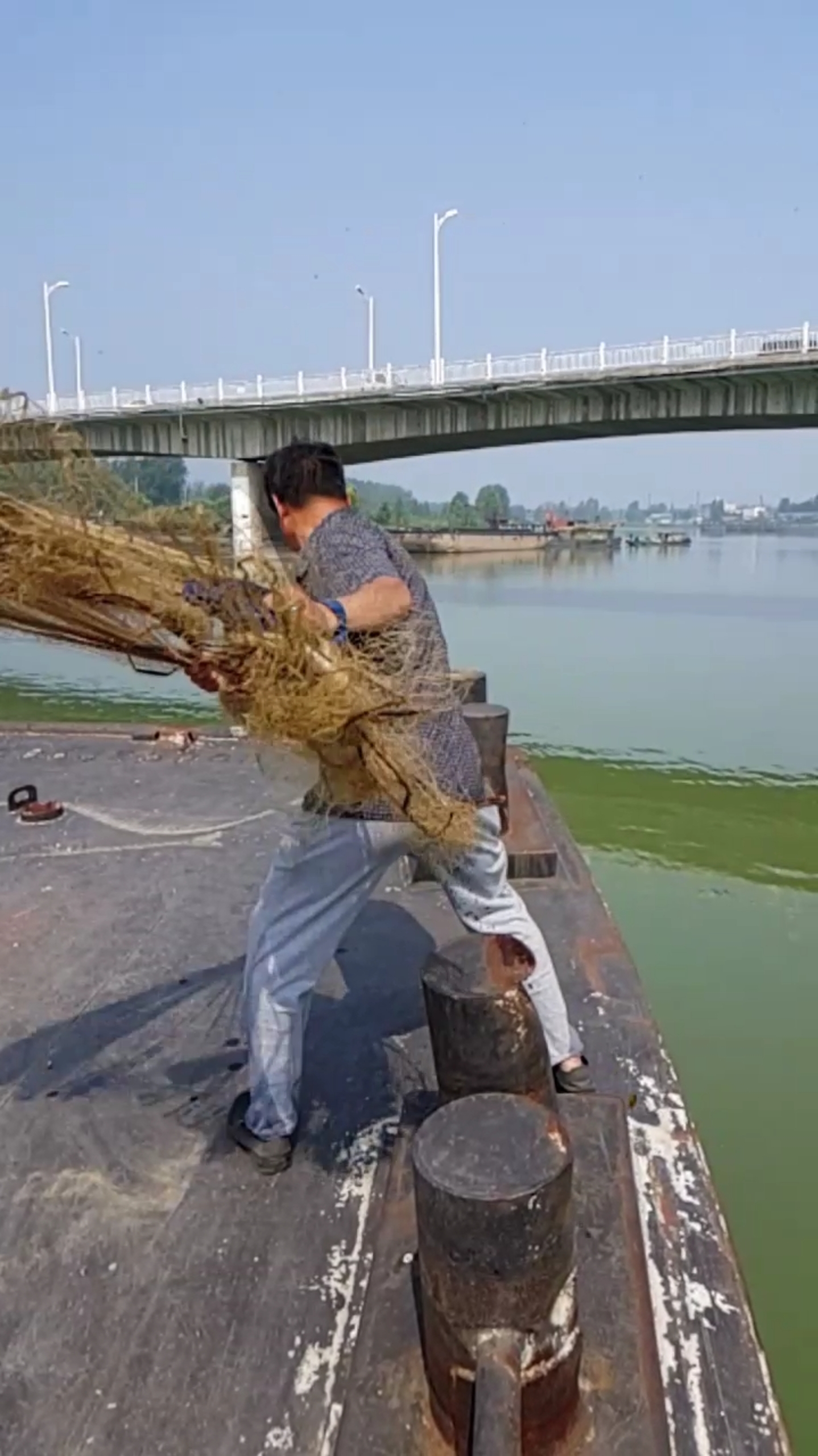 对准鱼窝子一网打尽!结局亮了