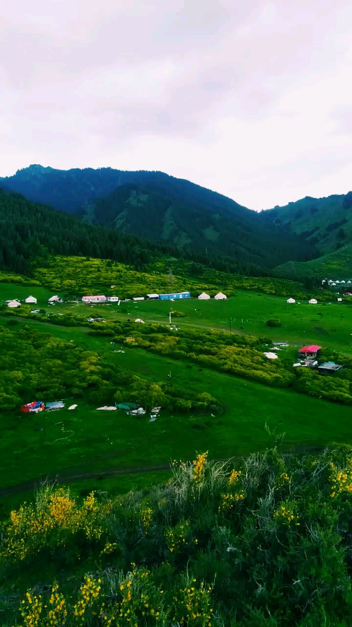 大美新疆南山景区欢迎你!