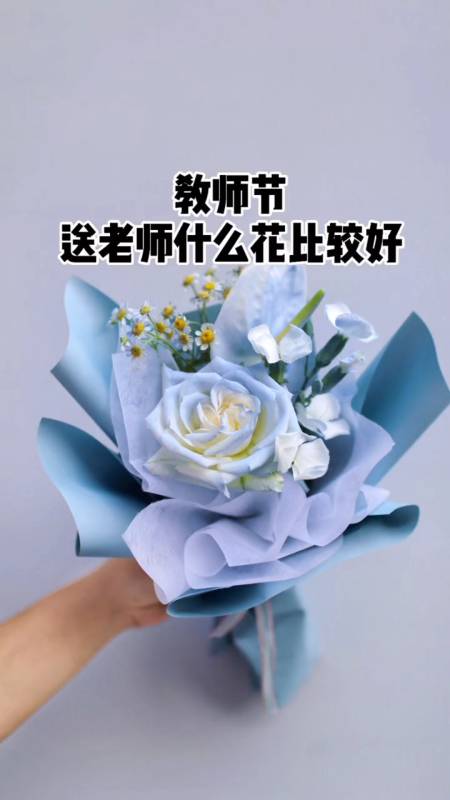 教师节送老师什么花合适?(教师节送老师什么花合适幼儿园小班)