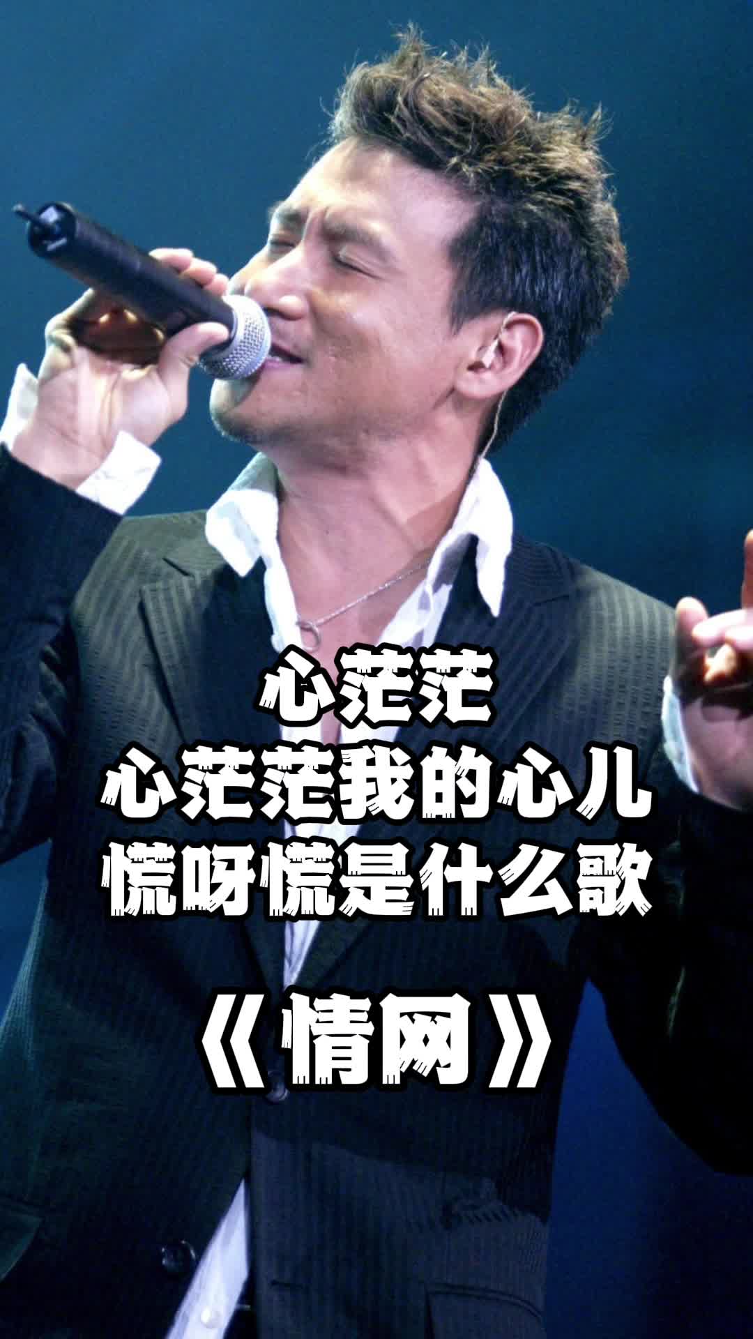 歌曲《情网》句句入心,深情感人