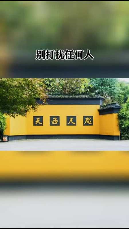 人在最低谷时,学会做一个沉默不语的哑巴.人生感悟小助手