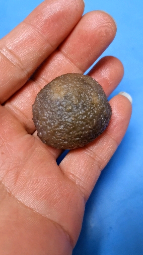 小品奇石馆#鸟蛋化石像不像