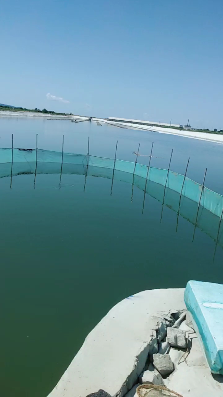 海参养殖圈安装网箱养殖海参苗