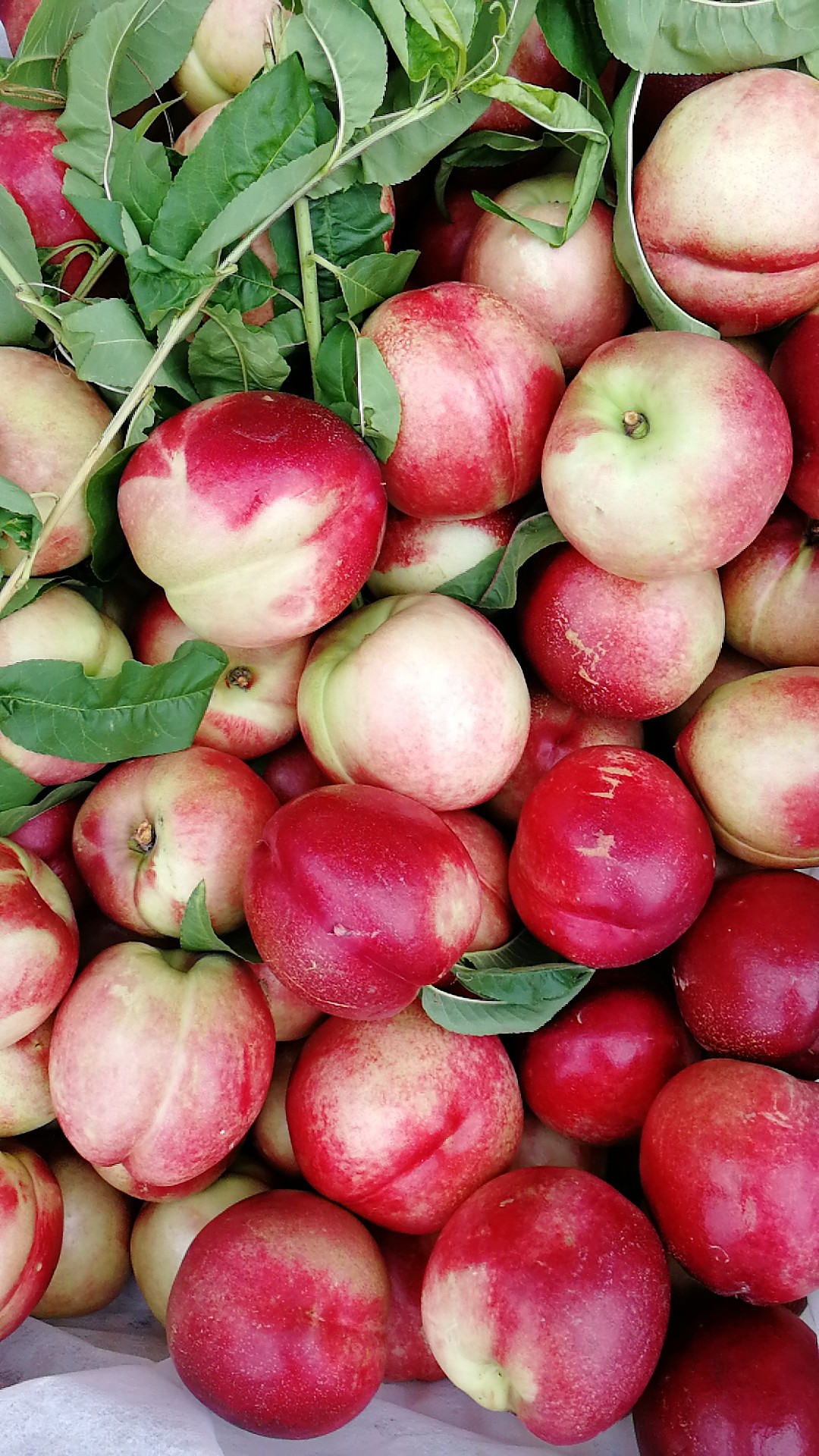 鲜水果又到店里了