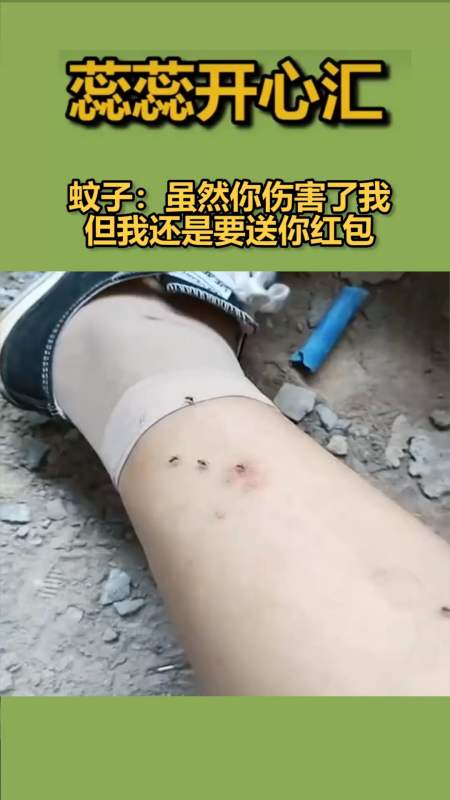 我要上热门#蚊子:虽然你伤害了我,但我还是要送你红包