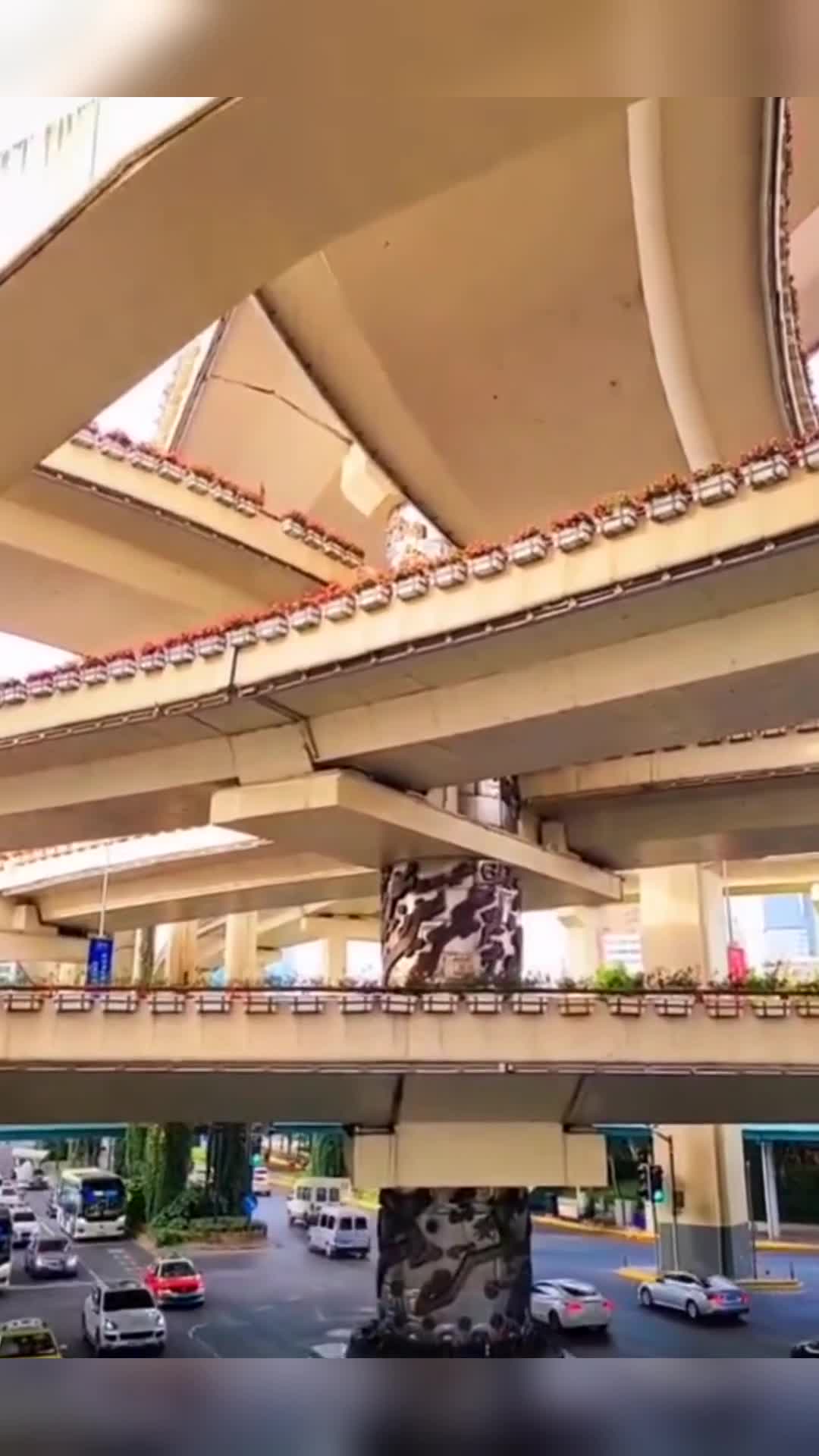 我要上热门#上海九龙柱,传说下面是条龙脉