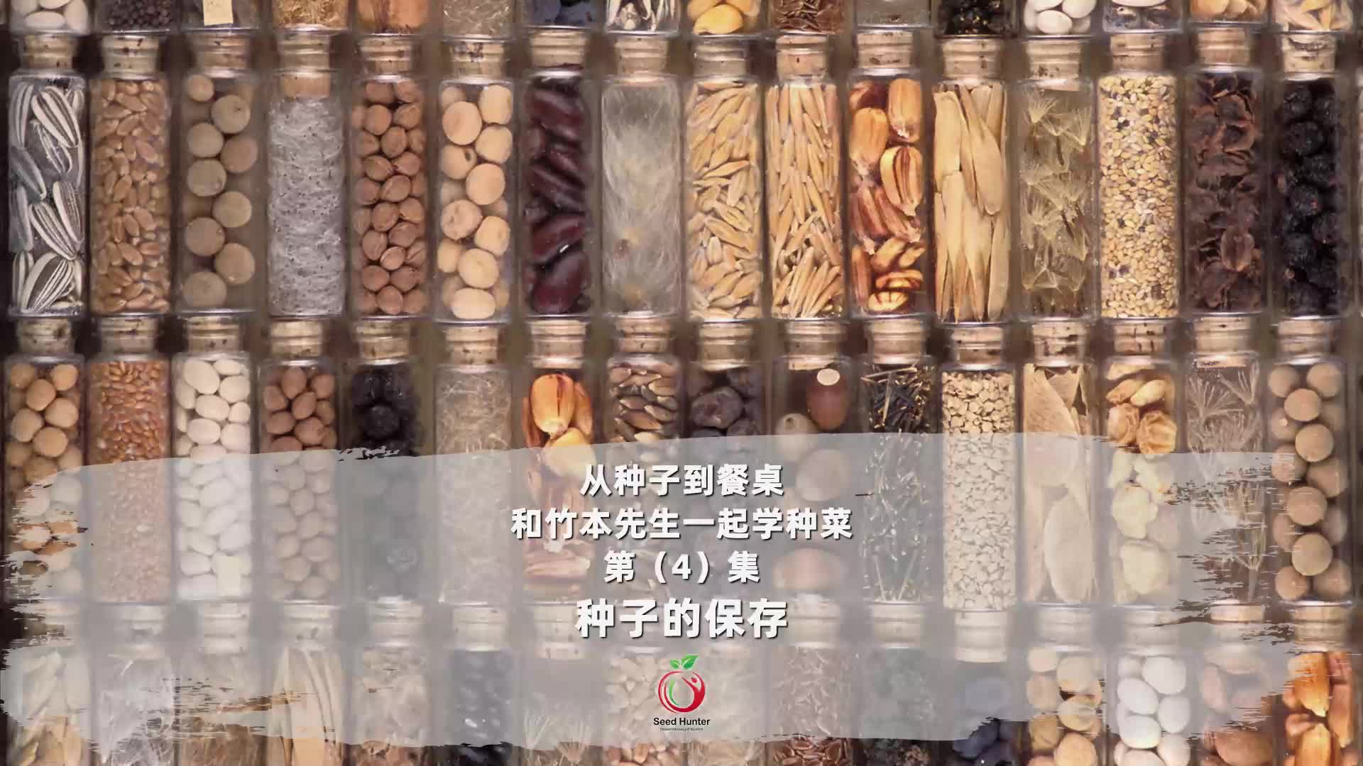 播不完的種子這樣保存,幾年後還完好如初!