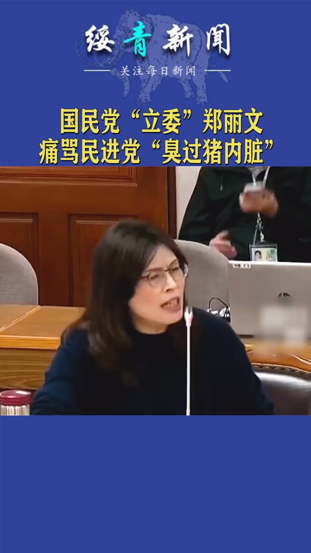 30日,台湾"立法委"激战,国民党立委拍桌骂民进党:比猪内脏还臭!