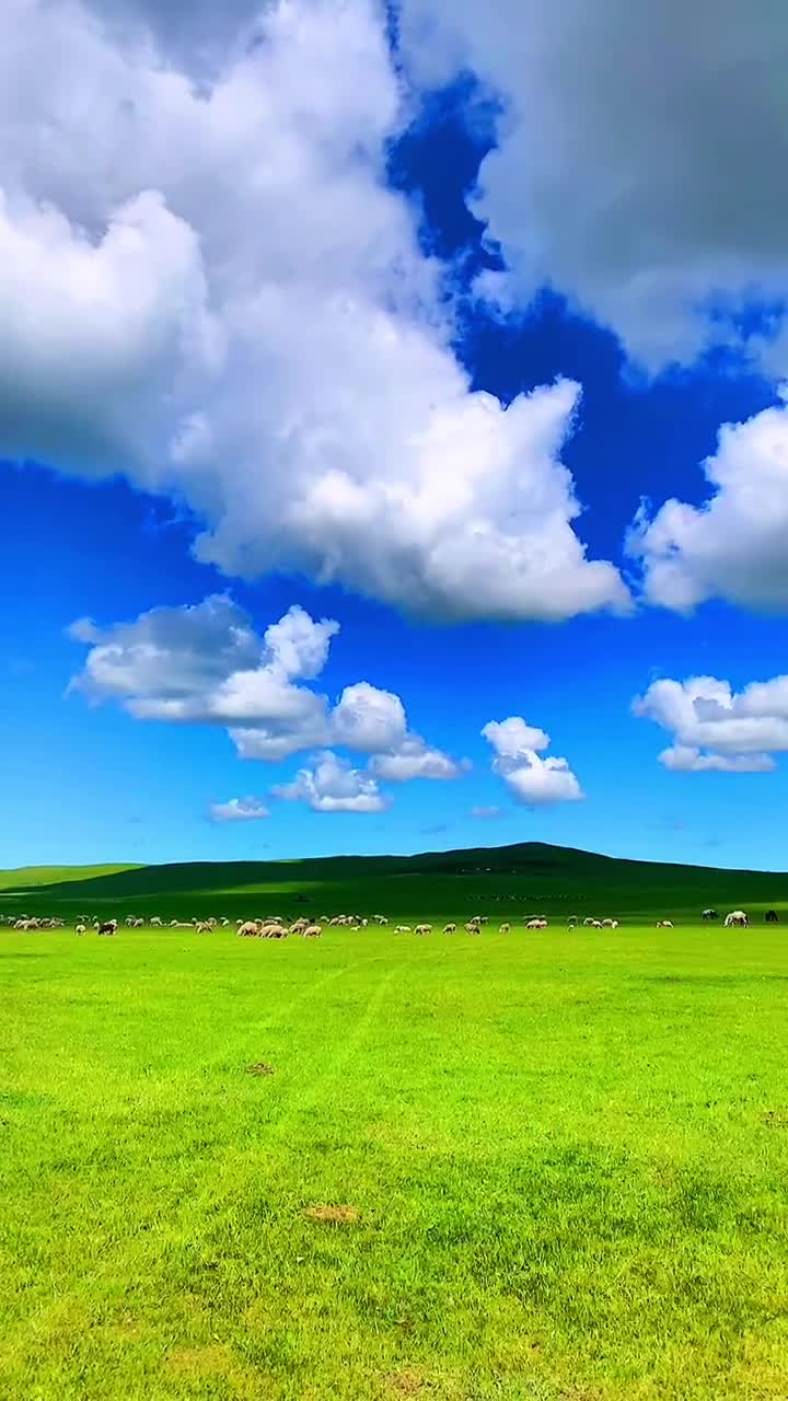 就在这草原上蓝天白云下等你赴约这最美的季节%呼伦贝尔大草原