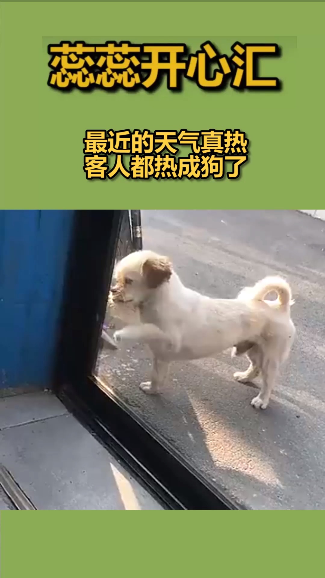 我要上热门#最近的天气真热,客人都热成狗了