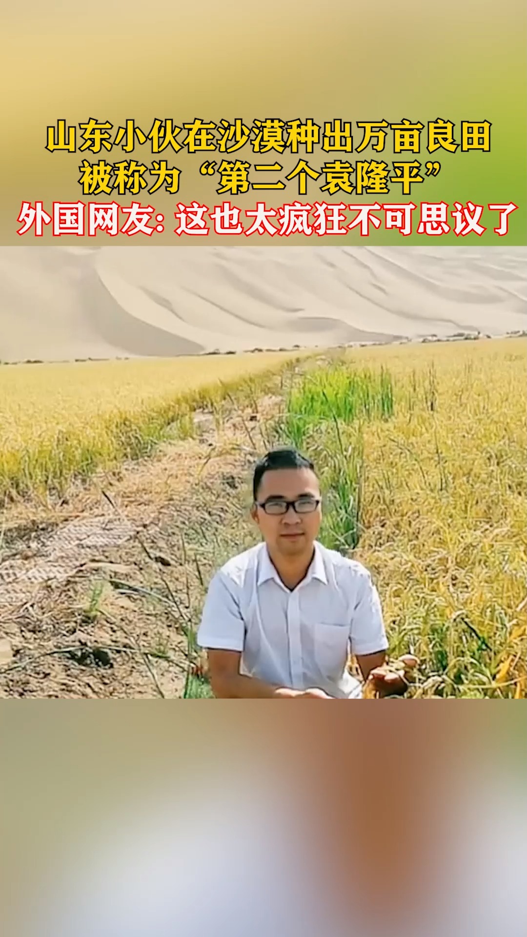 这个叫腾飞的中国小伙在沙漠种出了万亩水稻,让沙漠变绿洲,在沙漠种下