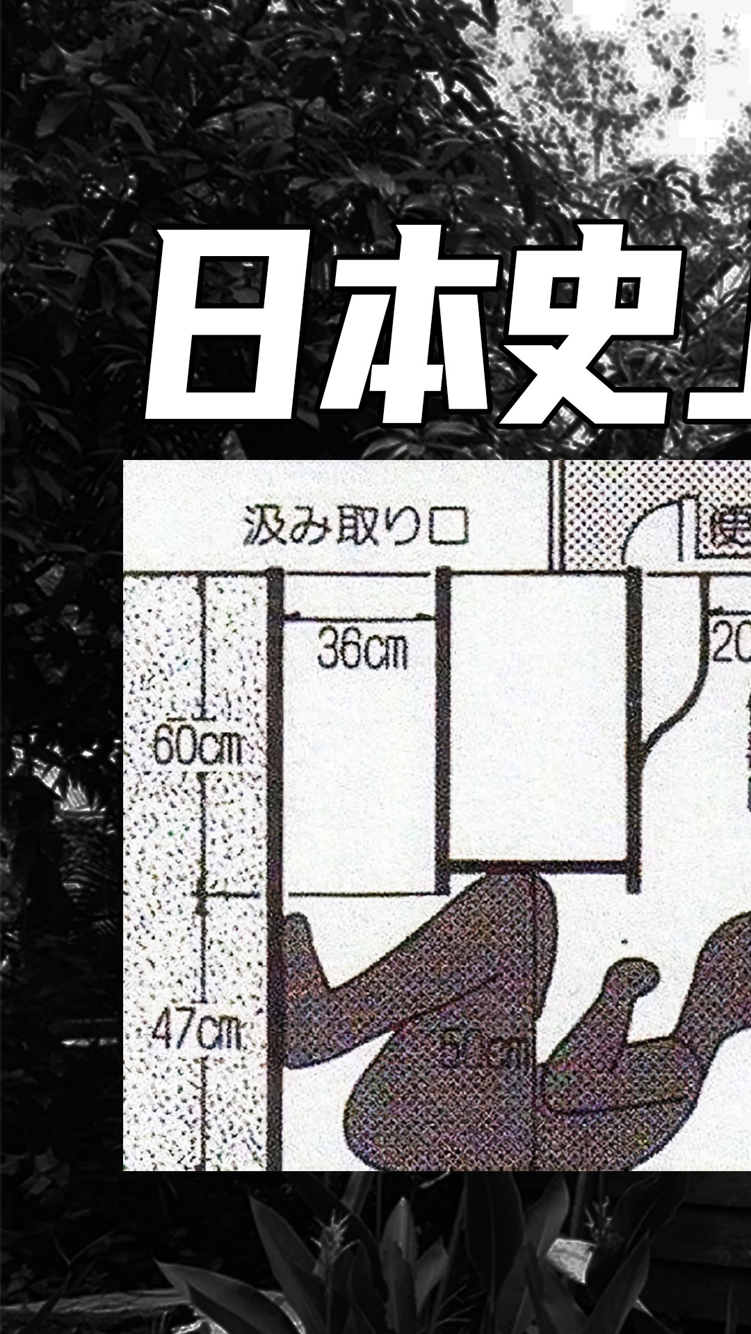 真实案件#女教师在厕所发现男尸,日本福岛最有味道的奇案《厕所藏尸
