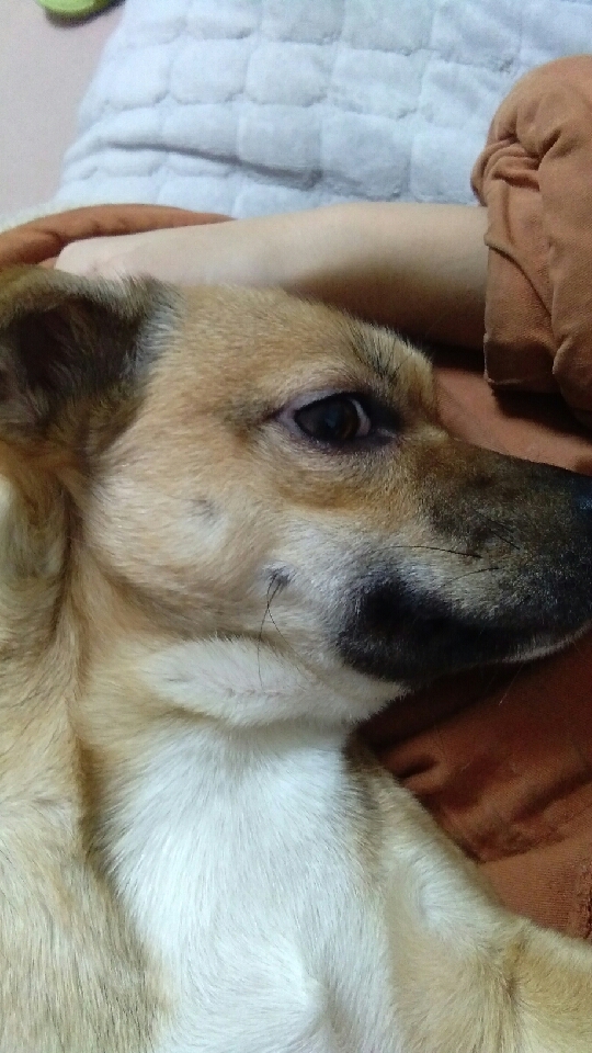 这小眼神,也是没谁了!楚楚可怜!