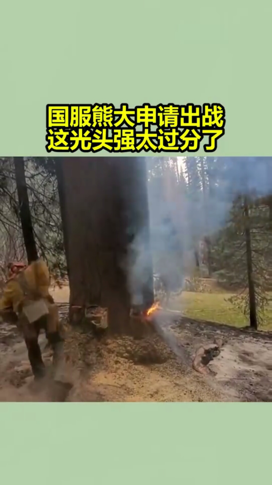 国服熊大申请出战这光头强太过分了