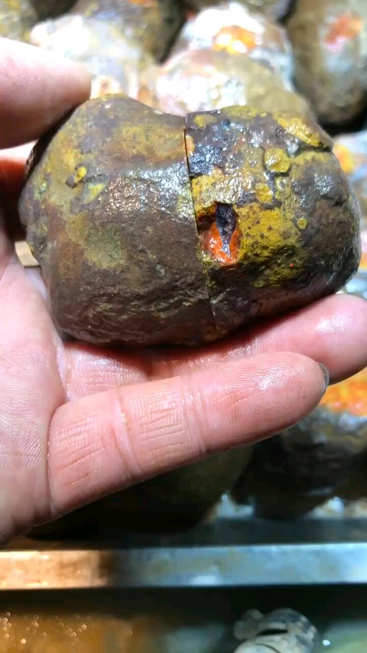 开一块千年灵石,里有会是什么样子的?好期待呀!