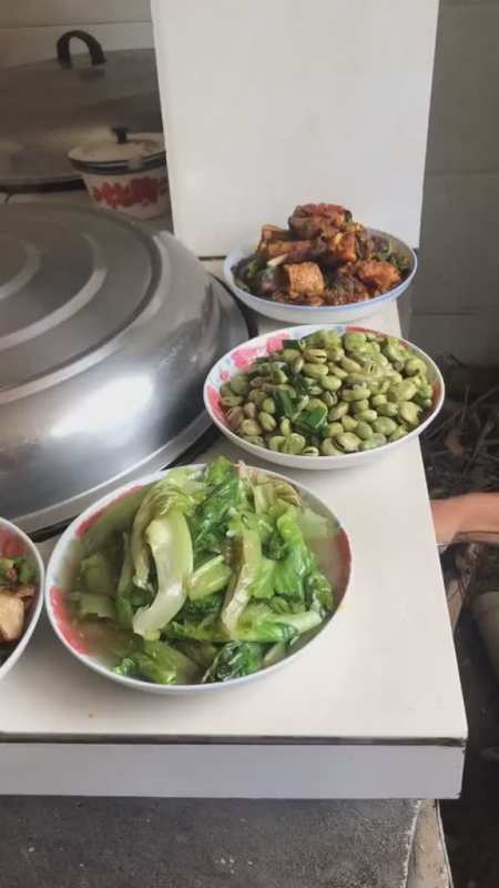 静静的吃着新鲜美味的饭菜 友友们不嫌弃的话 来十堰来我家吃饭农村