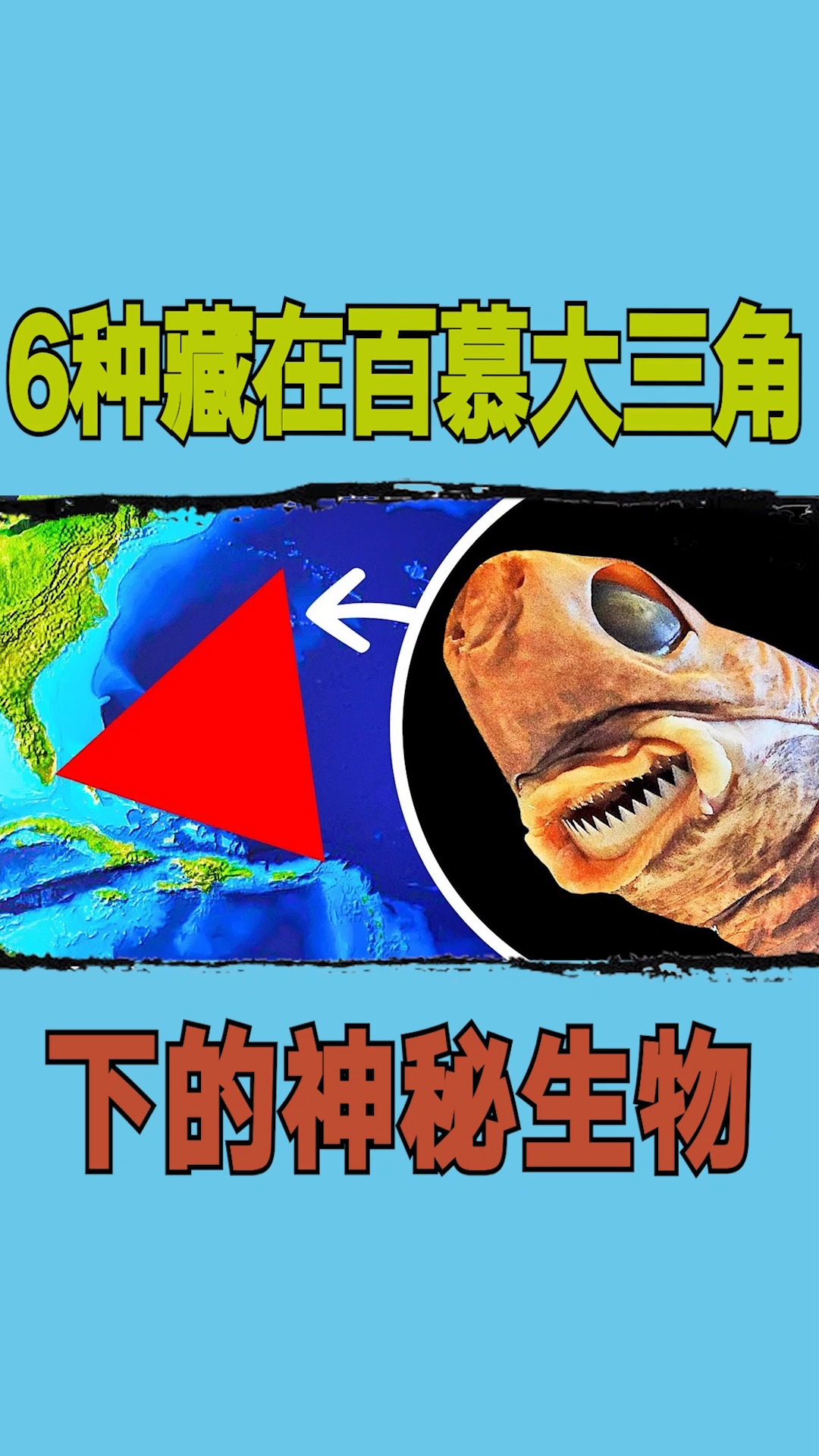 神秘生物#6种藏在百慕大三角下的神秘生物-度小视