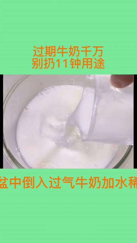 过期牛奶千万别扔11种用途.