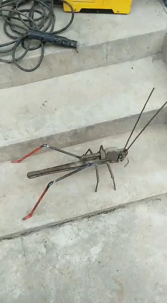 搞笑视频#大管钳制作的大蚂蚱