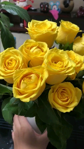 买家秀!金枝玉叶玫瑰!