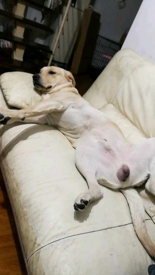 你动你的,我就舒服的躺着