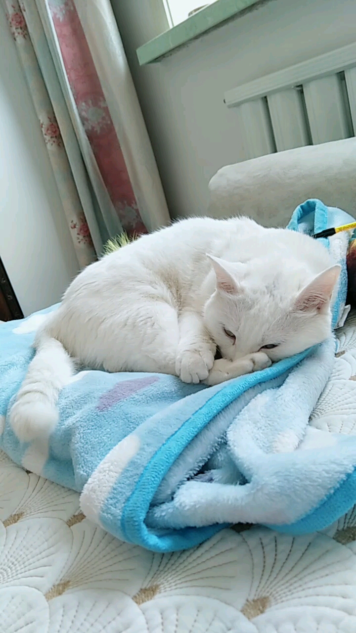 #时光游乐园#麻麻说,这姿势睡觉香