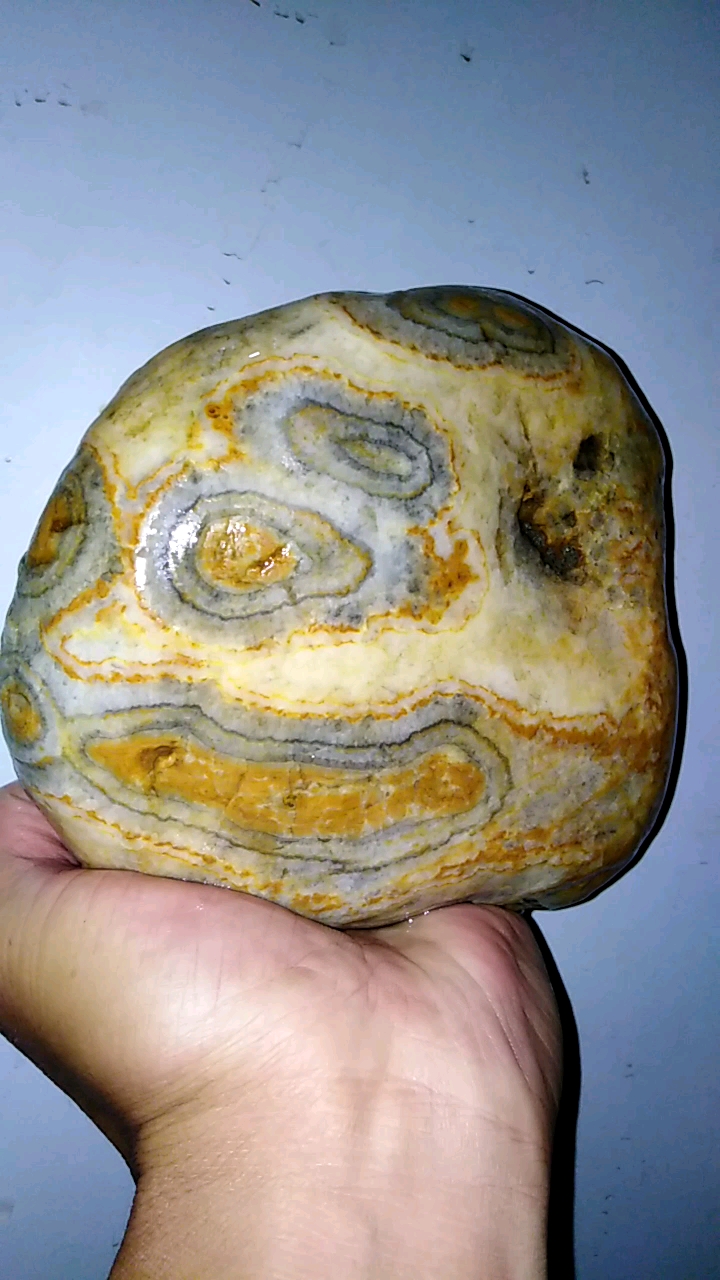 镜头里的秋天#今天这个不错!好久没有收获一个像样的汉江火爆石了.