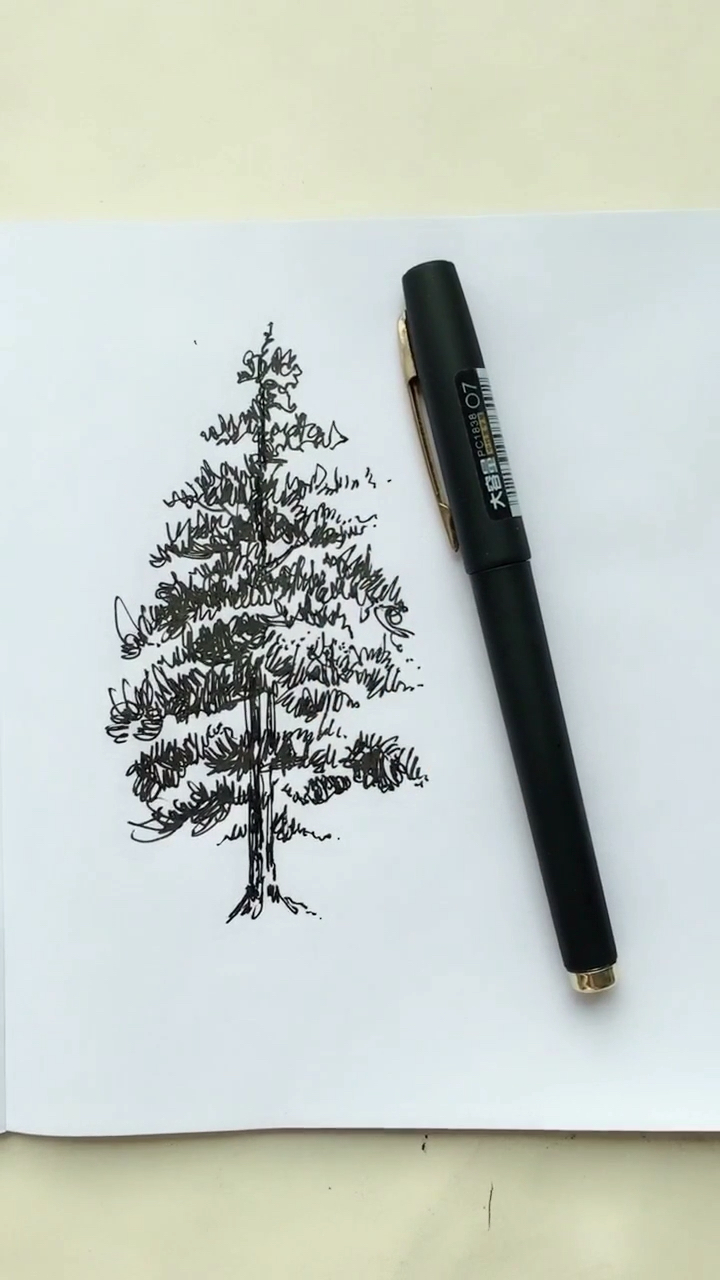 中性笔植物速写系列?教程