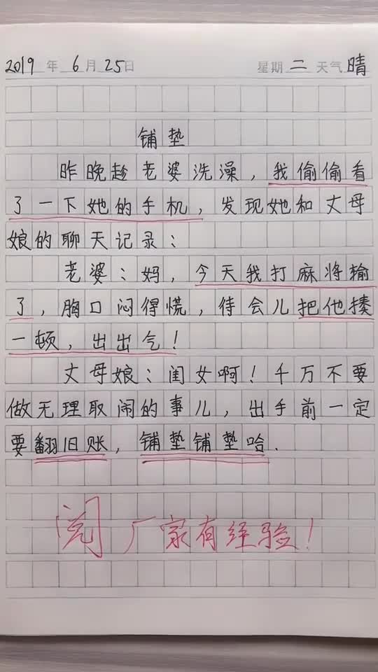 偷看了老婆的手机这才有了今天的作文我太机智了