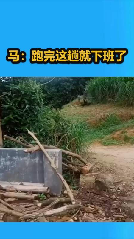 搞笑動物#馬:趕緊的!送完今天這波就下班了