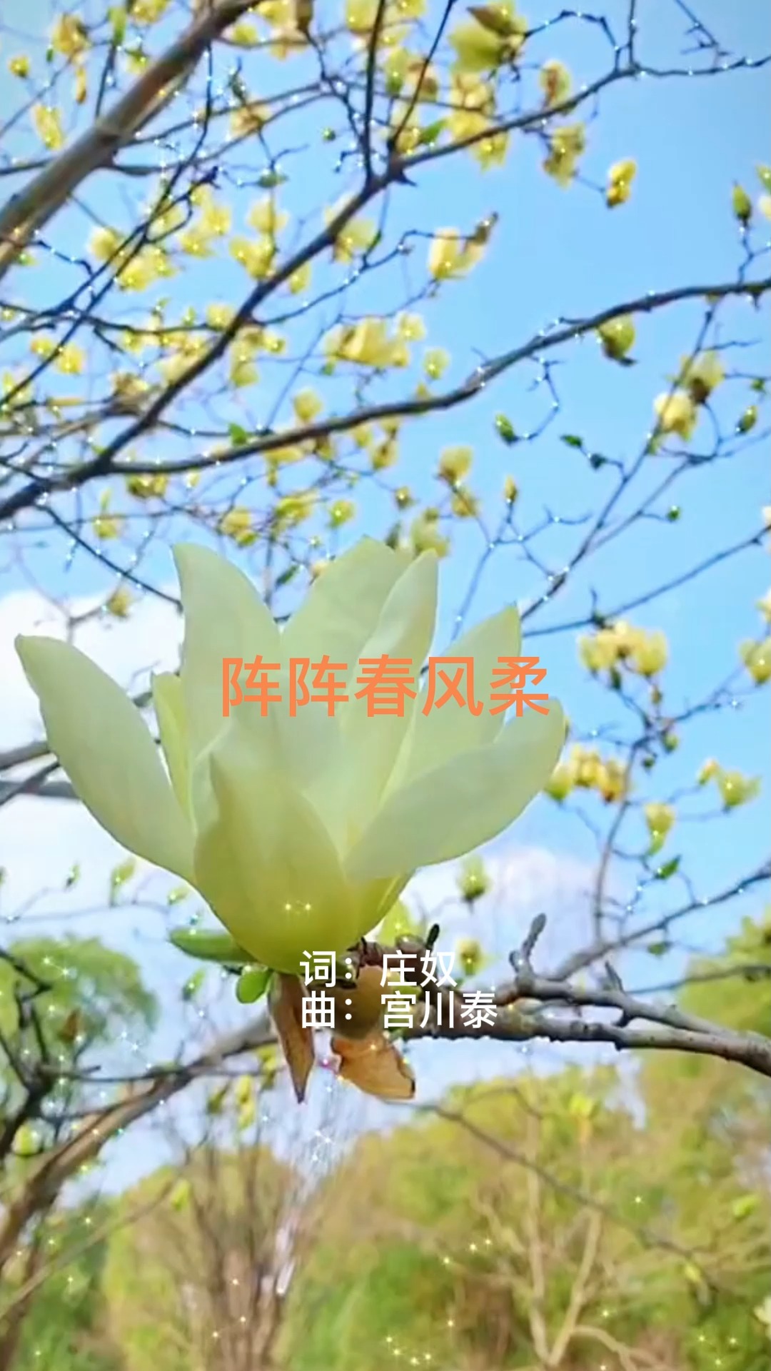 邓丽君《阵阵春风柔》