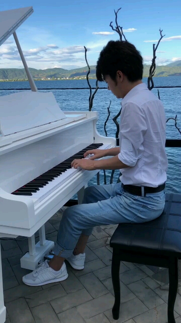 你哭着对我说,童话里都是骗人的-夜色钢琴曲赵海洋演奏片段